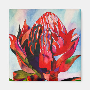 Imán Waratah Flor acuática nativa australiana
