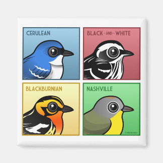 Imán Warblers de cuatro colores