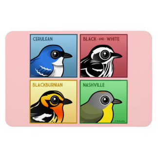 Imán Warblers de cuatro colores