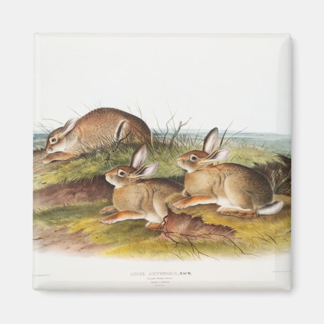 Imán Warm Wood Hare camping deco Regalos (Frente)