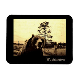 Imán Washington