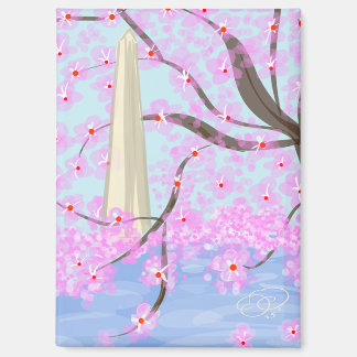 Imán Washington, D.C./Cherry Blossom Magnet