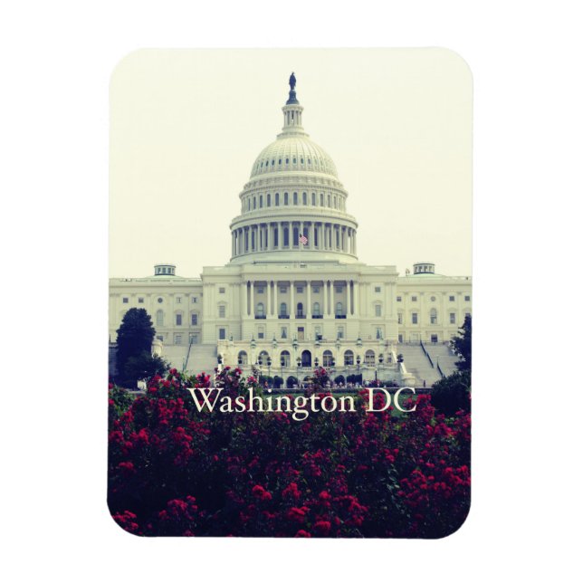 Imán Washington DC (Vertical)