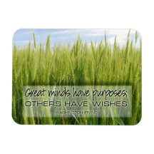 Washington Irving Cita Inspiradora "Minds Flex"