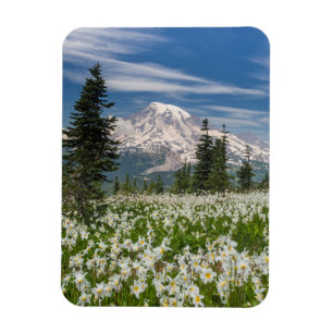 Imán Washington, Parque Nacional Monte Rainier 1