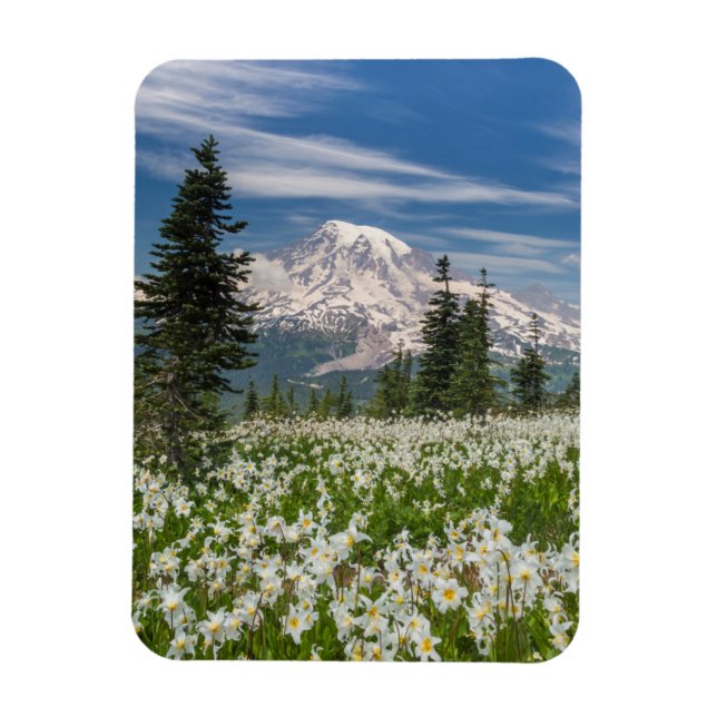 Imán Washington, Parque Nacional Mount Rainier 1 (Vertical)