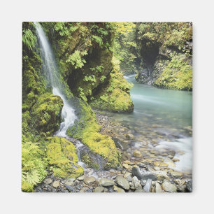 Imán Washington, Parque Nacional Olímpico, Estacional