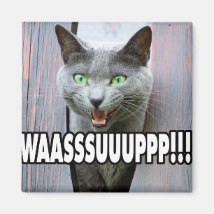 Imán WASSUP - Meme Cat