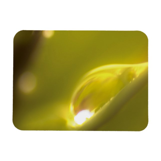 Imán Water Drop Premium Magnet 3 (Horizontal)