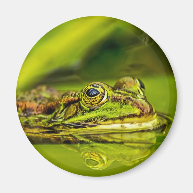 Imán water frog (Frente)