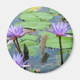 Imán Water Lilies