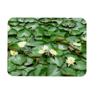 Imán Water Lilies