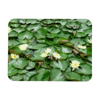 Imán Water Lilies