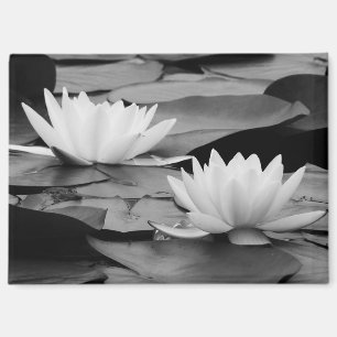 Imán Water Lilies Magnet