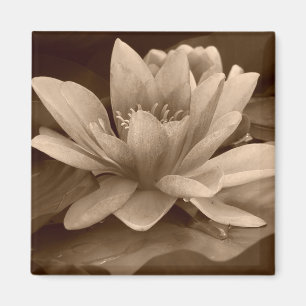 Imán Water Lilly Magnet