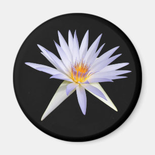 Imán Water Lily Magnet