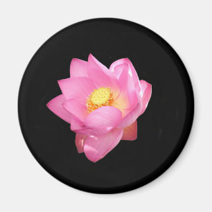 Imán Water Lily Magnet