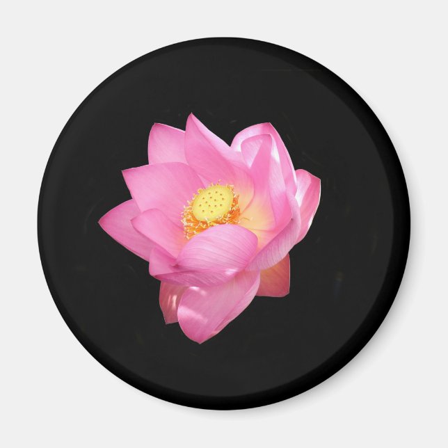 Imán Water Lily Magnet (Frente)
