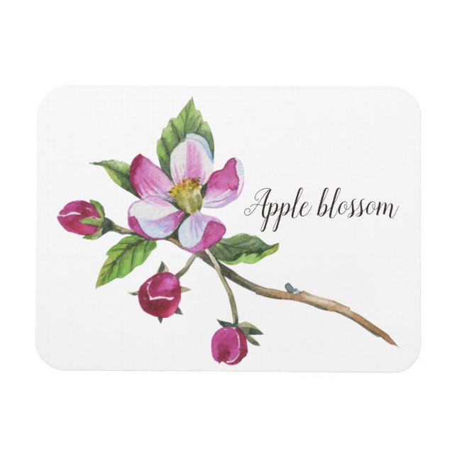 Imán Watercolor Apple Blossom Botanico (Horizontal)
