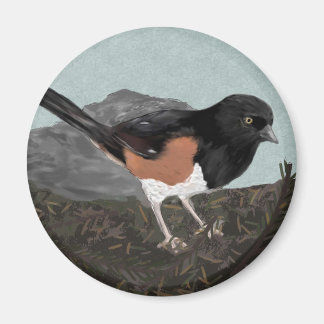 Imán Watercolor Eastern Towhee Magnet