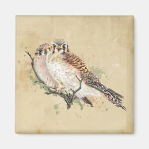 Imán Watercolor Kestrel Bird Birting Art