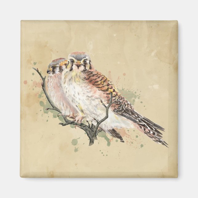 Imán Watercolor Kestrel Bird Birting Art (Frente)