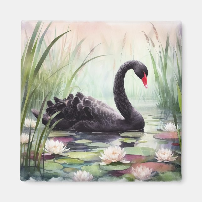 Imán Watercolor Lotus Flowers Black Swan (Frente)