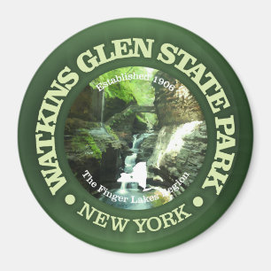 Imán Watkins Glen SP