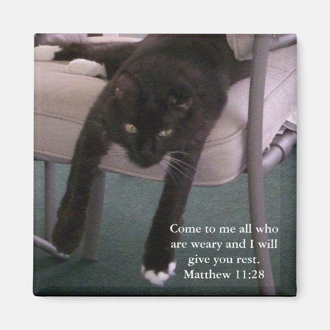 Imán Weary Sr. B imnet (Frente)