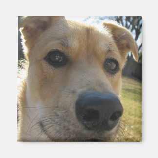 Imán Weekend Dexter Magnet