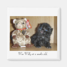 Imán WEEWILLYvs4inchBB-1, Wee Willy a las 2 semanas de 