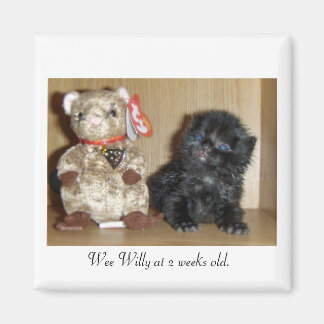 Imán WEEWILLYvs4inchBB-1, Wee Willy a las 2 semanas de 