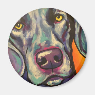 Imán weimaraner