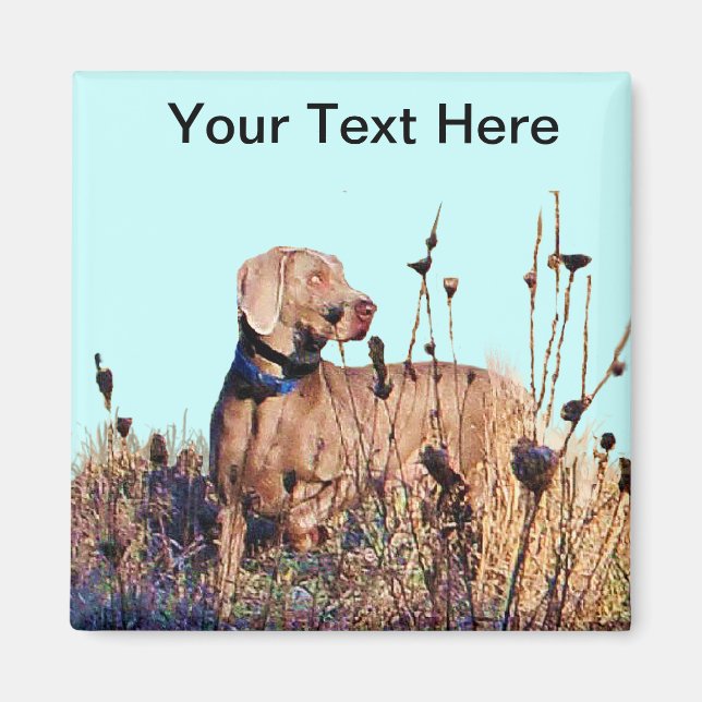Imán Weimaraner Al Recuperar (Frente)