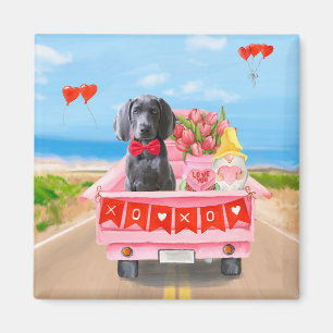 Imán Weimaraner Dog El día de San Valentín Truck Hearts