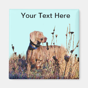 Imán Weimaraner encendido recupera