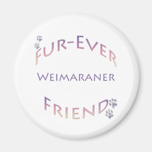 Imán Weimaraner Furever Friend