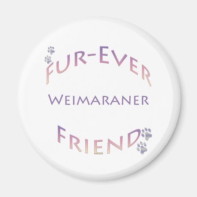 Imán Weimaraner Furever Friend (Frente)