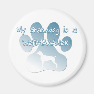 Imán Weimaraner Granddog