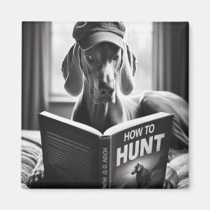 Imán Weimaraner lee un libro sobre cómo cazar