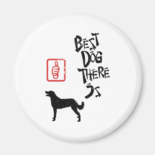 Imán Weimaraner Long-Coated (Frente)