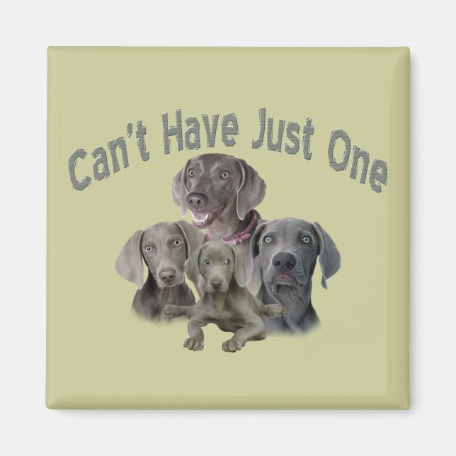Imán Weimaraner no puede tener solo uno (Frente)