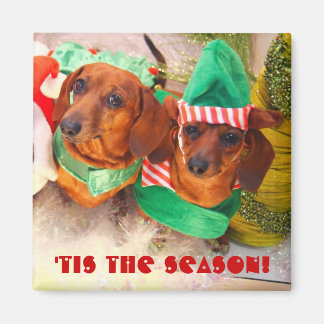 Imán Weiner Dog Navidades Elf