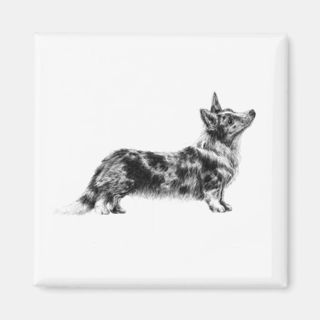 Imán Welsh Cardigan Corgi magnet (Frente)