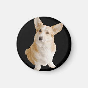 Imán Welsh Corgi Dog