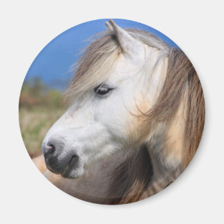 Imán Welsh Pony