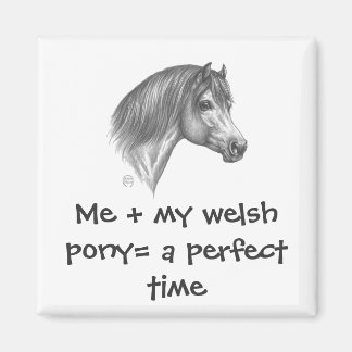 Imán Welsh Pony & Cob Society of America