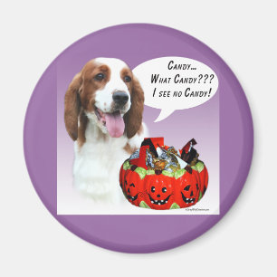 Imán Welsh Springer Spaniel Halloween Candy