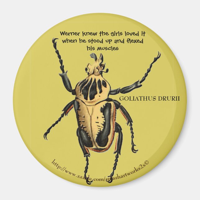 Imán "Werner mostró sus músculos para los chicas" (Frente)