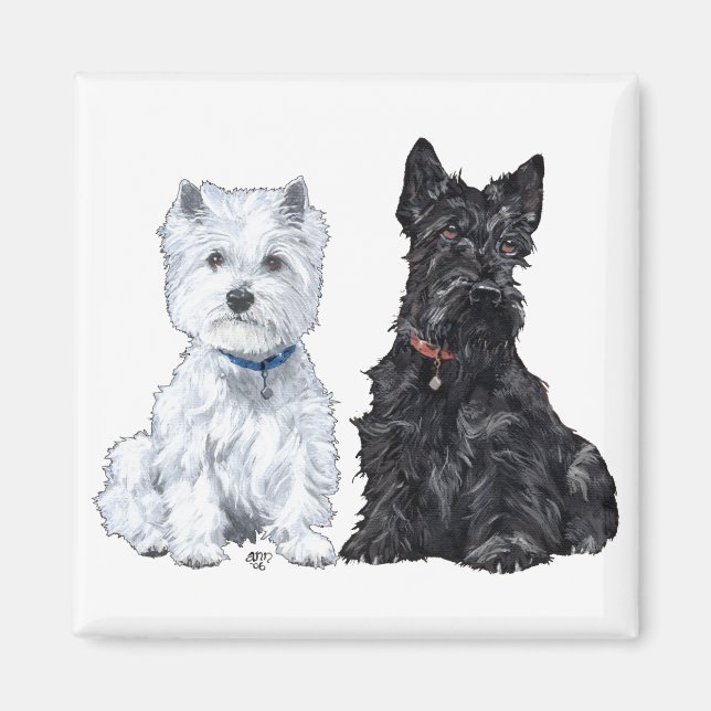 Imán West Highland White y Terriers Escoceses (Frente)